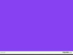 colourlovers.com Peacey