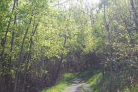 panoramio.com Peack