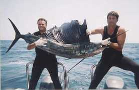 spearfishingsa.co.za Pebane