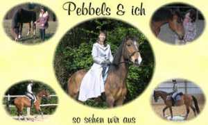hadel.net Pebbels