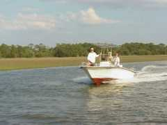 tybee.com Pecino