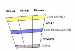 Pecollo