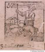 Pecoraio
