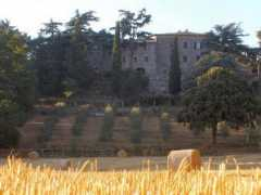 castelgiorgionews.it Pecorone
