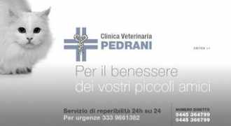 clinicaveterinariapedrani.it Pedrani