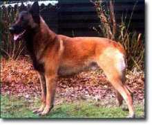 Pegge