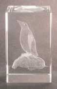 landhaven.com Peguin