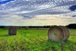 panoramio.com Peierl
