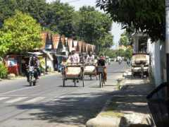 Pekalongan
