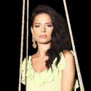showtv.com.tr Pekdemir