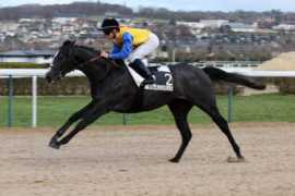 horseracingnation.com Pelato