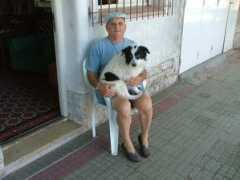 vivechacabuco.com Pelatti