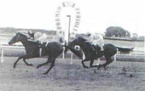 artemisian.com Pelder