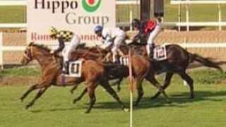 turfebrasil.not.br Pelder