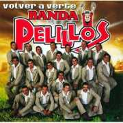 janiesrecordshop.com Pelillo