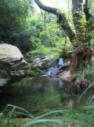 mlahanas.de Pelion