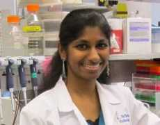 demarzolab.pathology.jhmi.edu Pellakuru