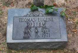 Pellem