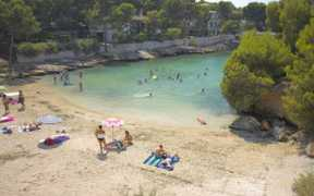 digamemallorca.com Pellicer