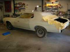 torinoproject.com Pellit