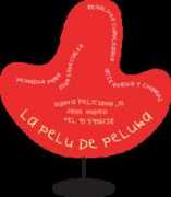 carlosarroyo.net Peluka