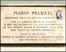 Peluzzi