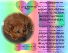 misslazy.com Pelzer