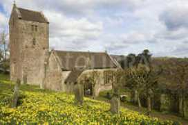 fotolibra.com Penault