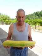mirambeau.blogs.sudouest.fr Peneau