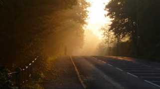 bbc.co.uk Pengam