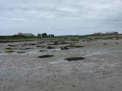 geograph.org.uk Penial