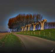 hotely.travel.cz Pennemans