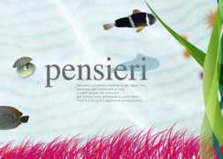 wzsky.net Penno