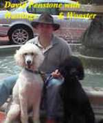 lasvegaspoodles.com Penstone