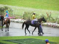 racebase.co.nz Pentane