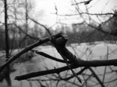 photo.qip.ru Pentragon