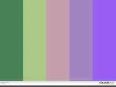 colourlovers.com Peole
