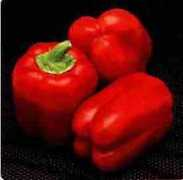 Pepers