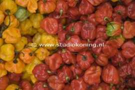 Pepers