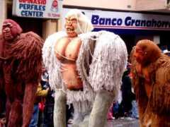 ipitimes.com Pepinosa