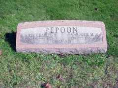 Pepoon