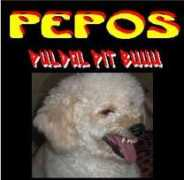 Pepos