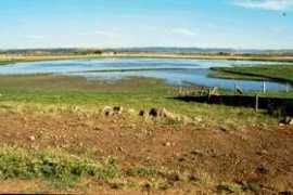 Perabad