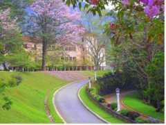 Peradeniya