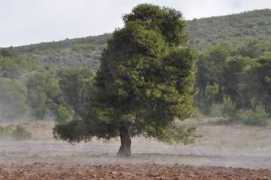 panoramio.com Peramos