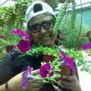 wayn.com Perasan