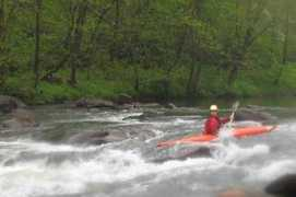 nelsoncountyva.org Perault