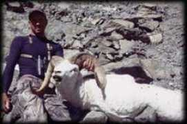 knikglacieradventures.com Perchetti