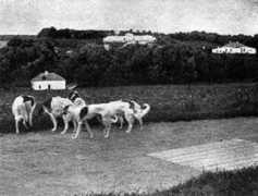 personal.palouse.net Perchina