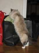 mysecretwindow.se Percle